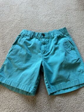 Bear bottom shorts